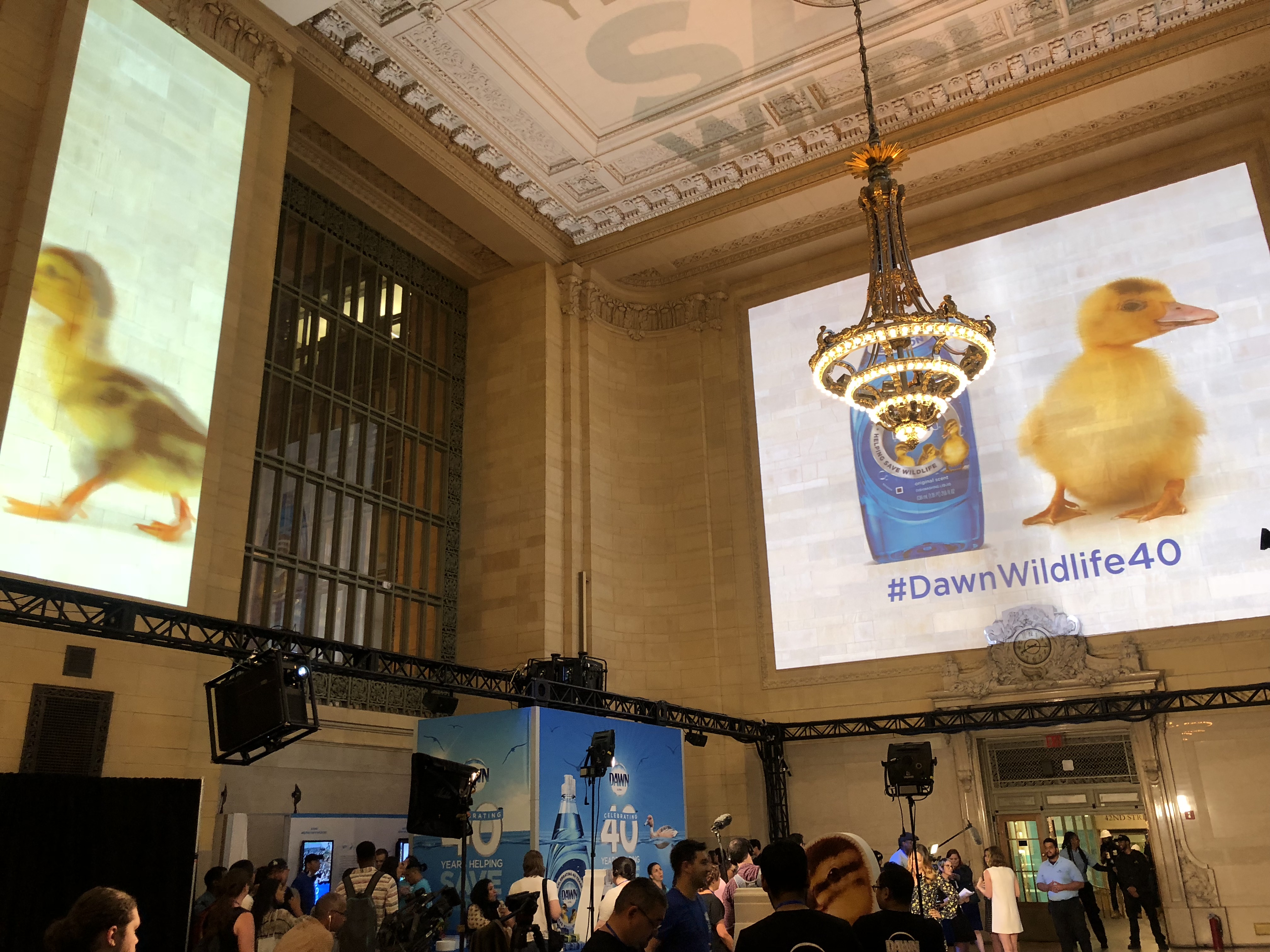 Projection Mapping Transforms Grand Central Into Wildlife Refuge