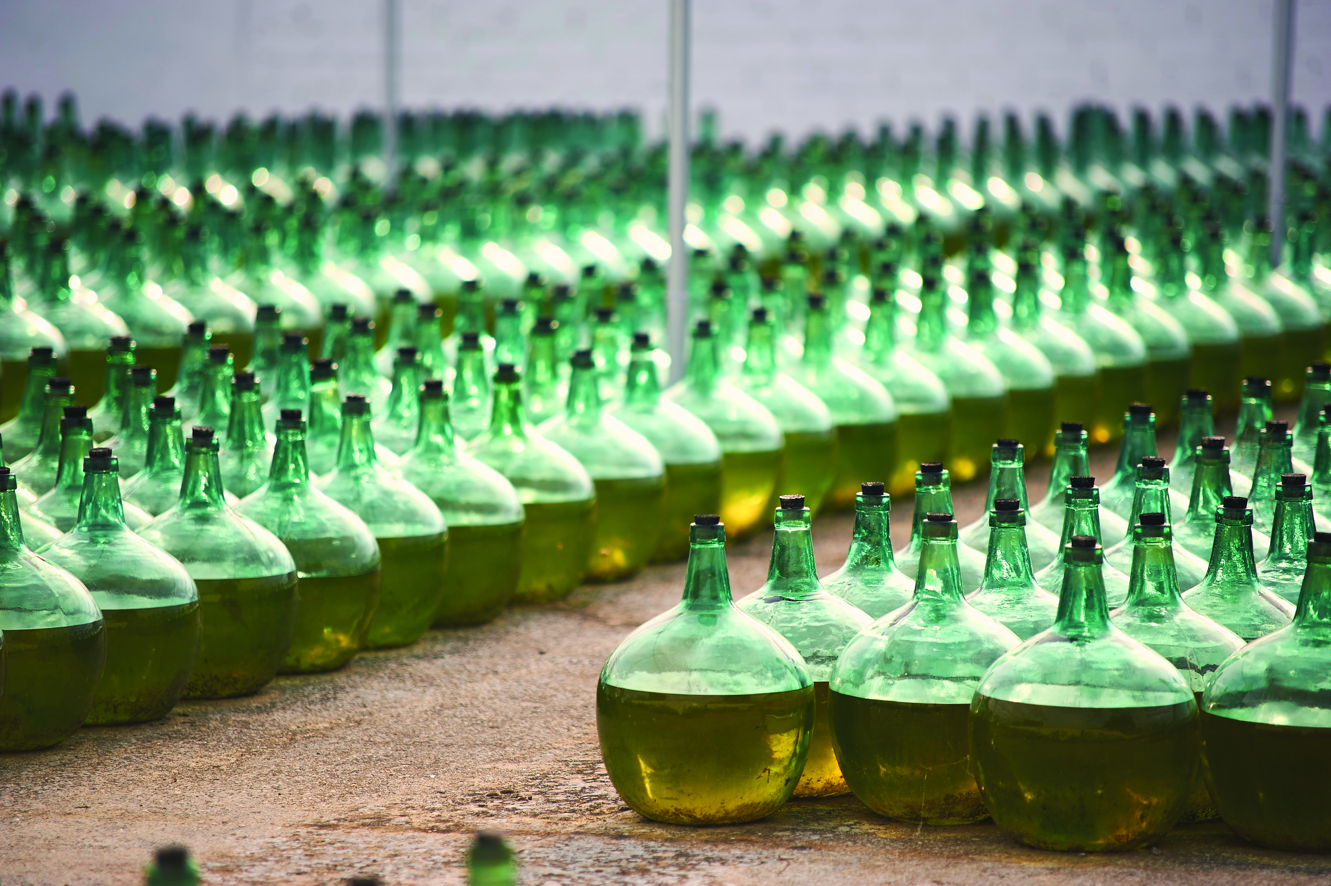 Rows of demijohns &ndash; round green bottles half-filled