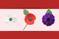 A collage of the different coloured poppies for Remembrance Day