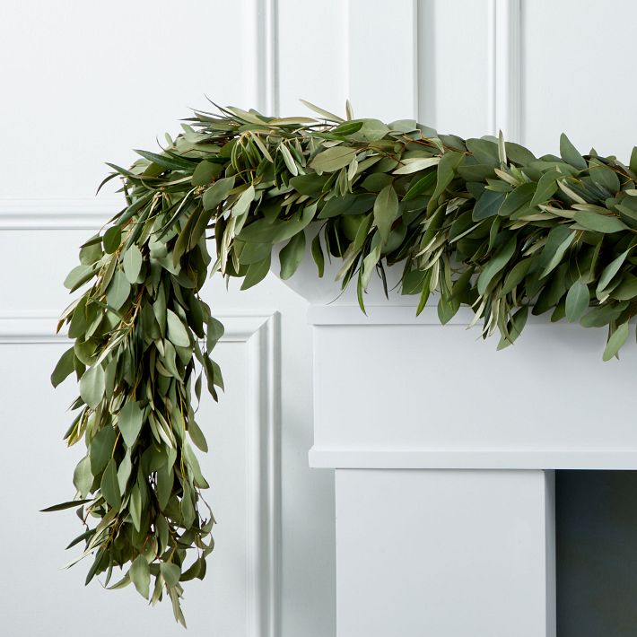 Silver Dollar Eucalyptus &amp;amp; Olive Garland