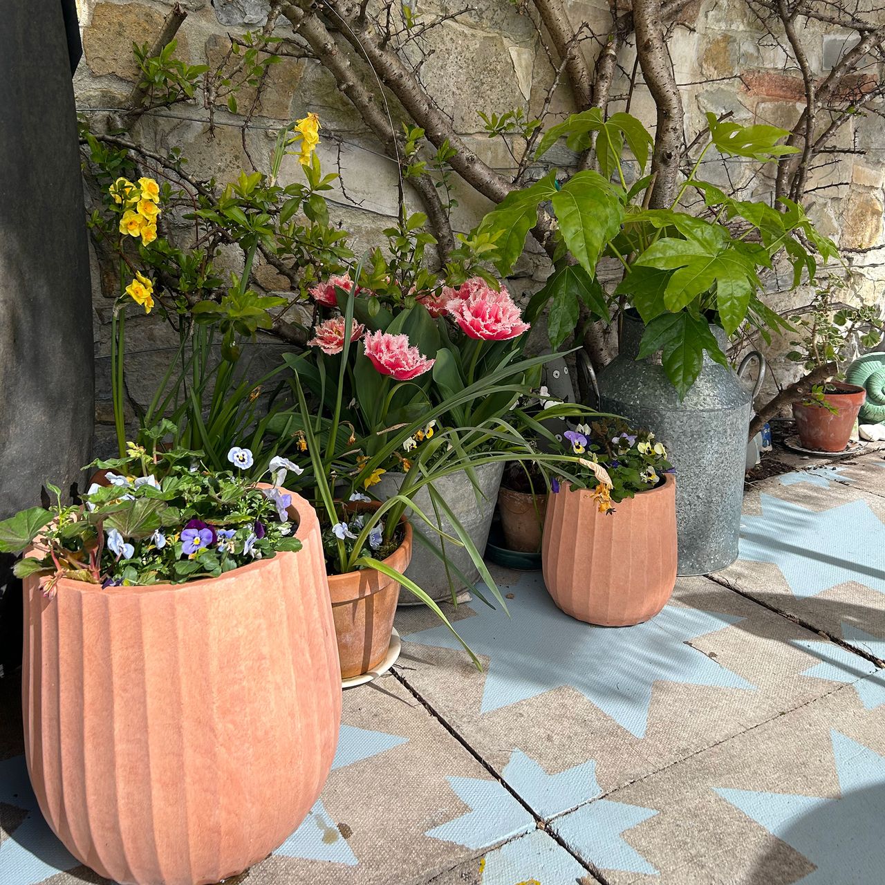 Stone wall lined with potted plants and climber growing up, above patio slabs painted with blue star design