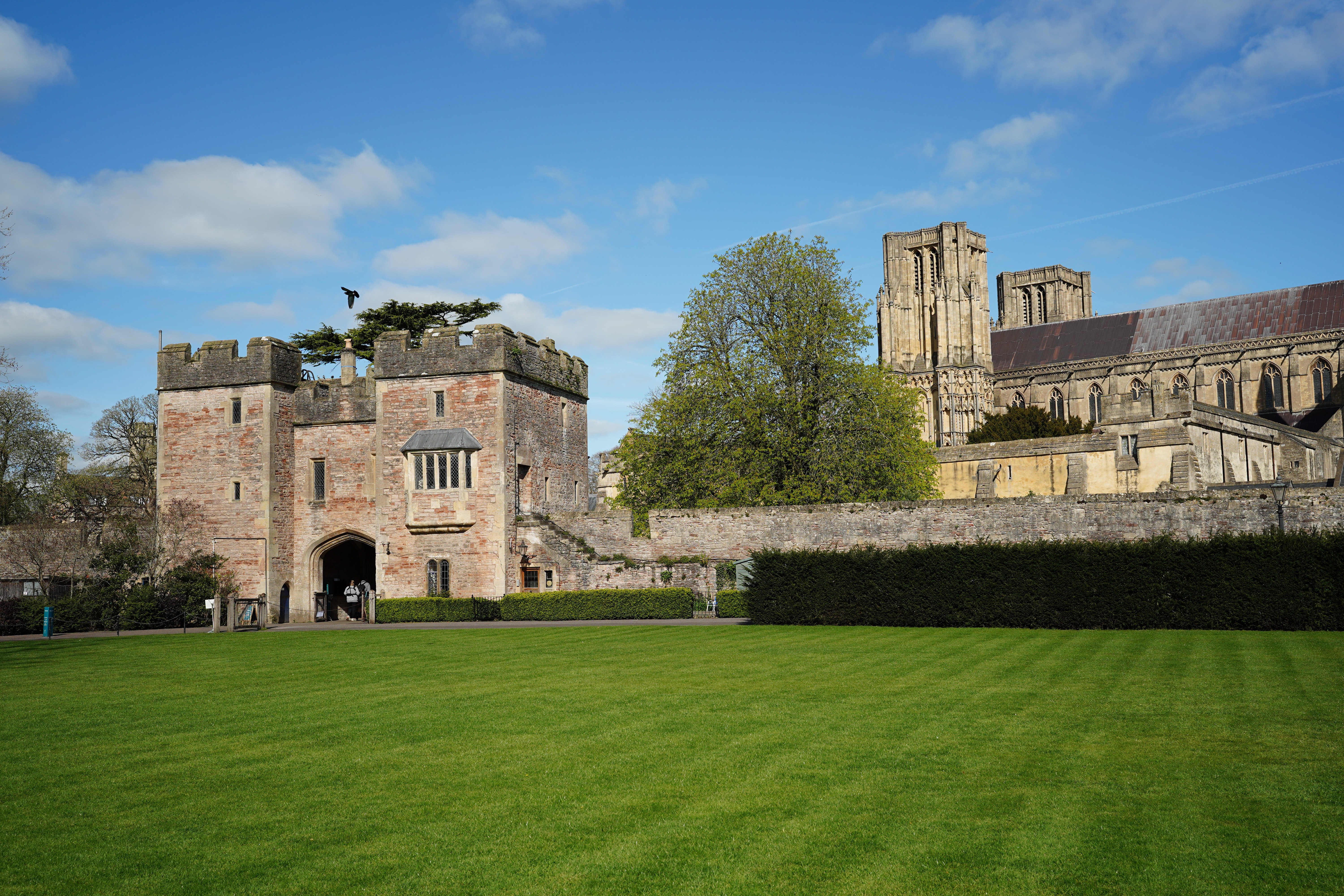 Sigma 35mm f/1.2 DG II Art sample image