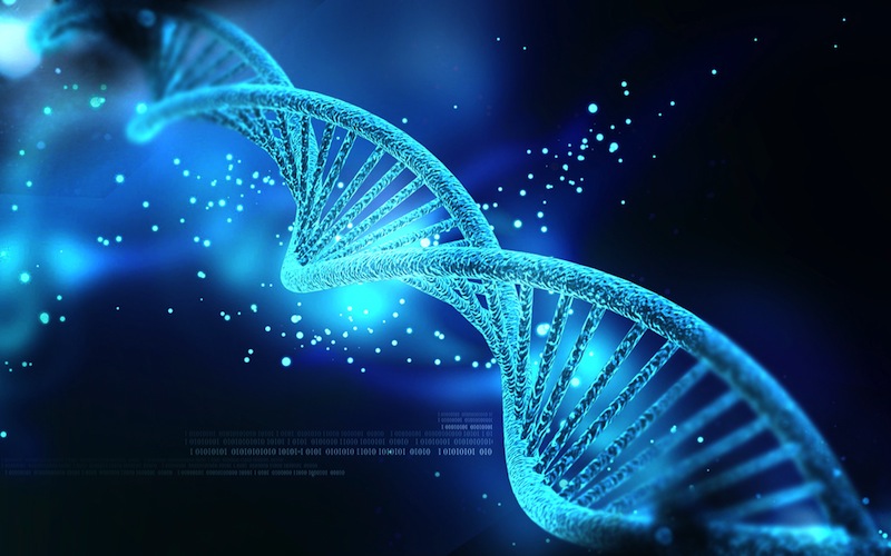 People Use Just % of Their DNA, Study Finds | Live Science