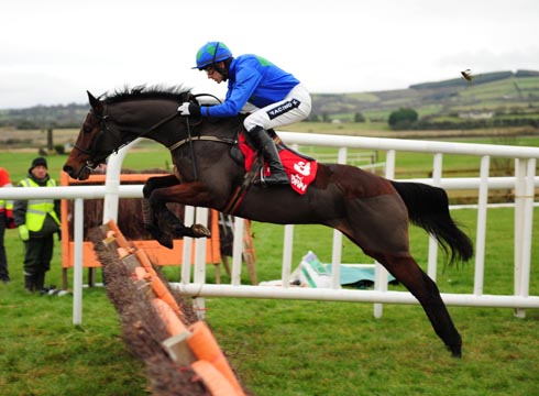 hurricane-fly.jpg