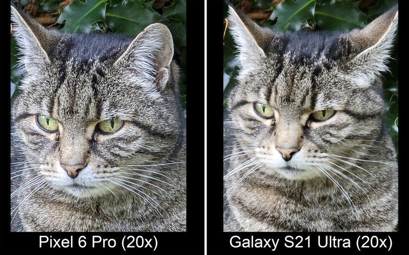 Pixel 6 Pro Vs Galaxy S21 Ultra Zoom 20x