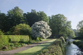 Duchal estate near Kilmacolm - Knight Frank