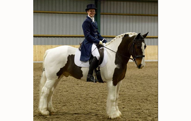 "This is my little star Billy Wizz (Cuffstown Rumble). He is a 16-year-old 14hh traditional Irish cob. He has evented and won cob races, done Le Trec, shown and done dressage. He is currently competing at prix st george (PSG) level in British Dressage (BD) and he has just competed in the BD winter regionals in the gold section coming fourth in the freestyle medium and 11th in the advanced medium. He is a super character that loves life and is very willing to please" &amp;mdash; Sam Turner