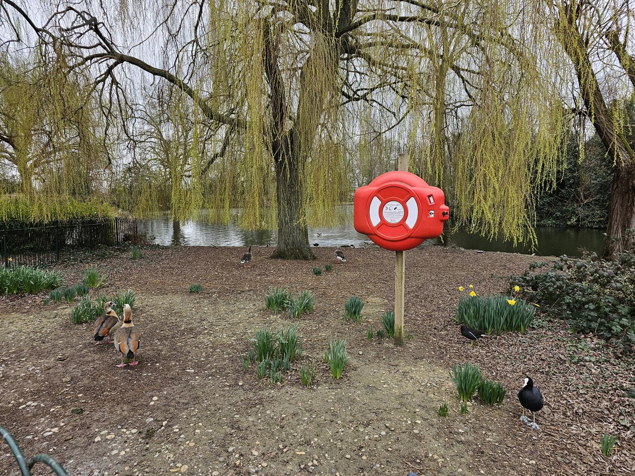 Samsung galaxy s23 ultra sample images
