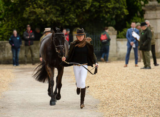 Kathryn Robinson and Let It Bee