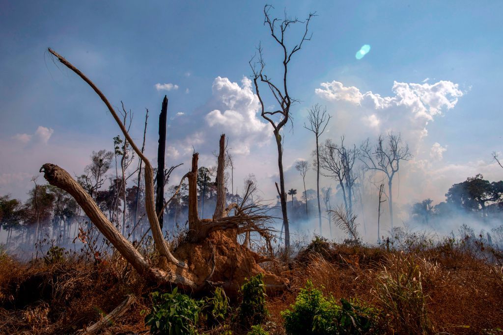 G-7 offers aid for Amazon fires but Brazil rejects it.