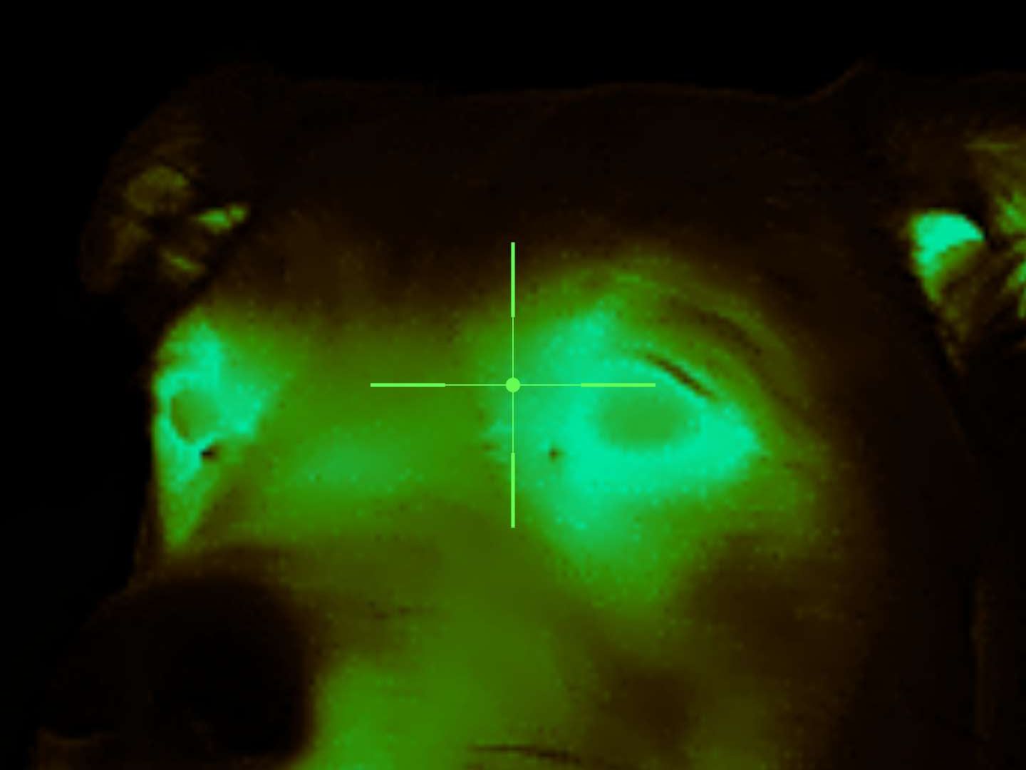 Xinfrared One XH09 captures