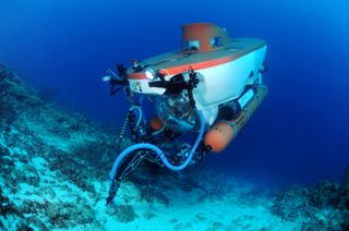 The "Curasub" submarine, collecting samples near the Caribbean island of Curaçao.