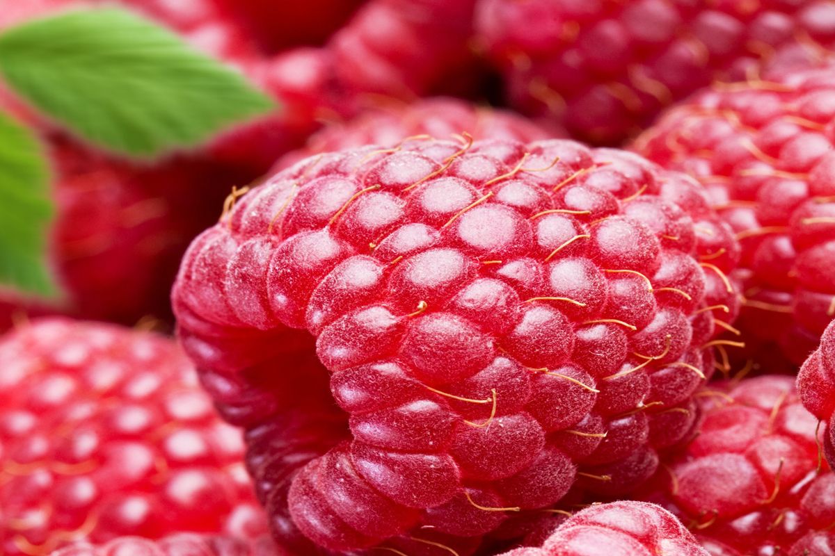 Raspberries