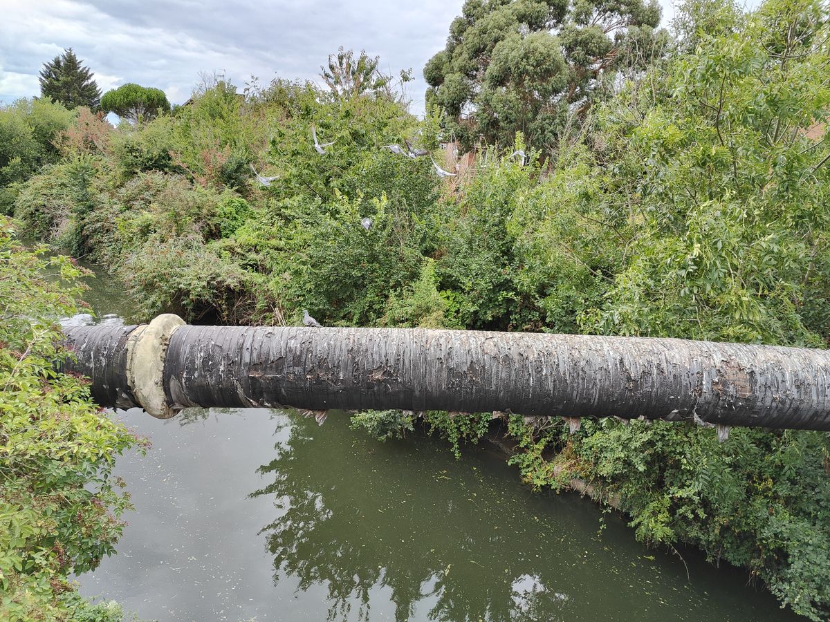 A photo captured on the OnePlus 10T
