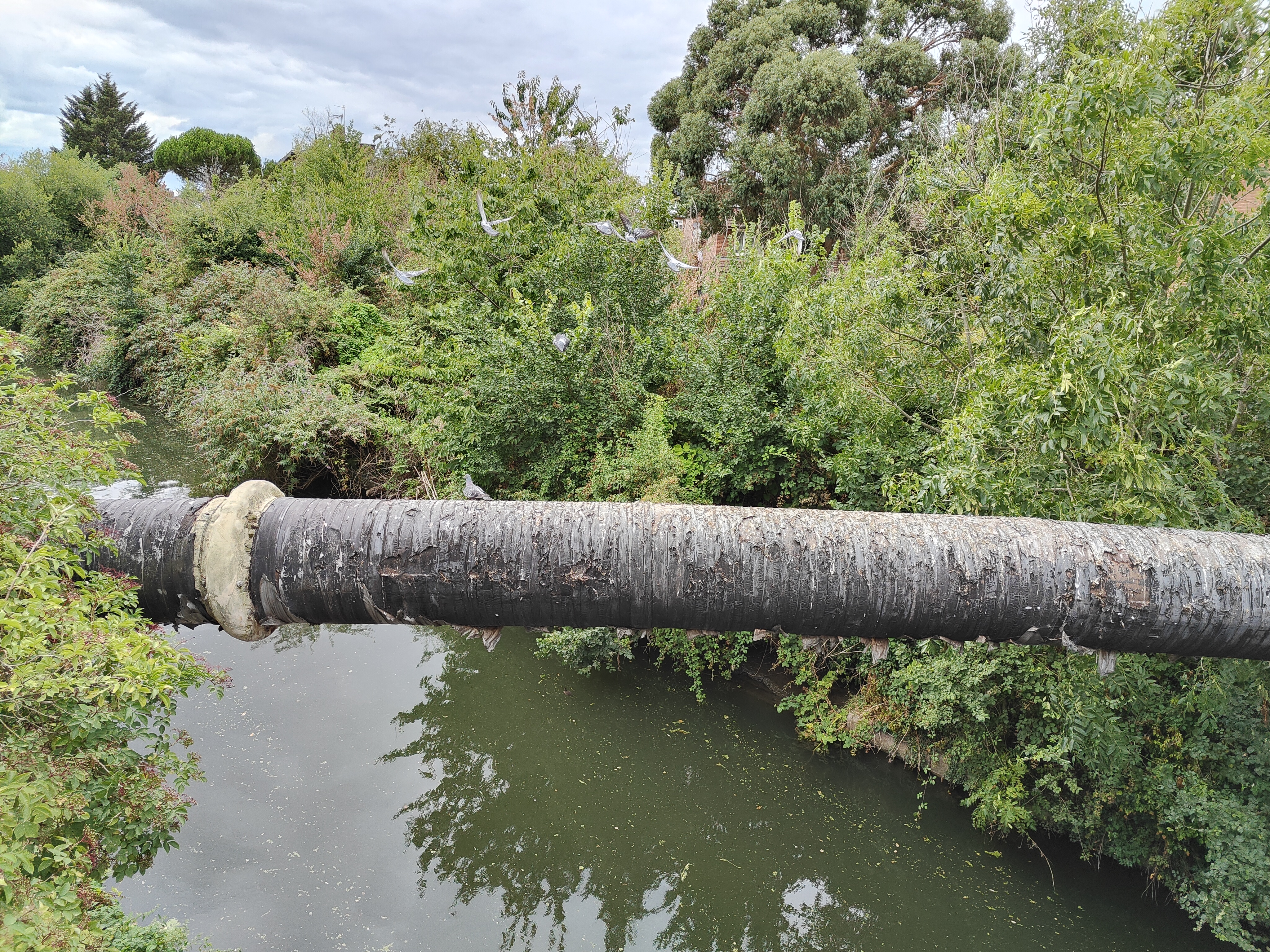 A photo captured on the OnePlus 10T