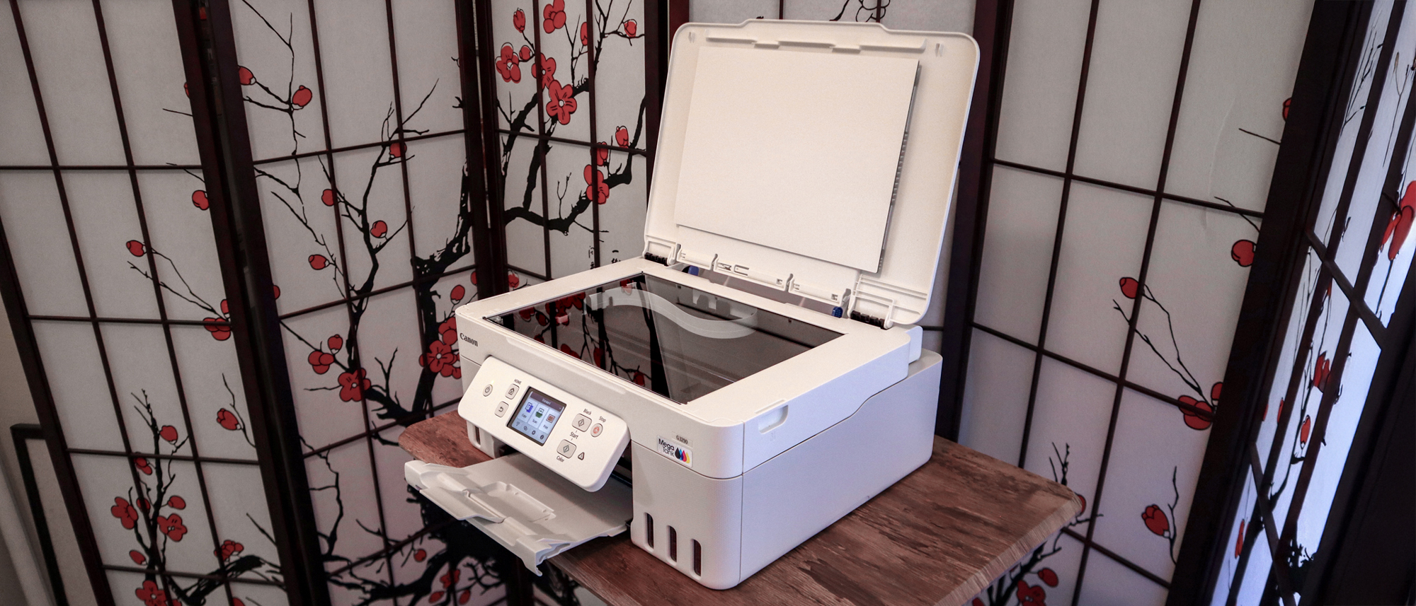 Canon MegaTank Pixma G3290 review unit in action