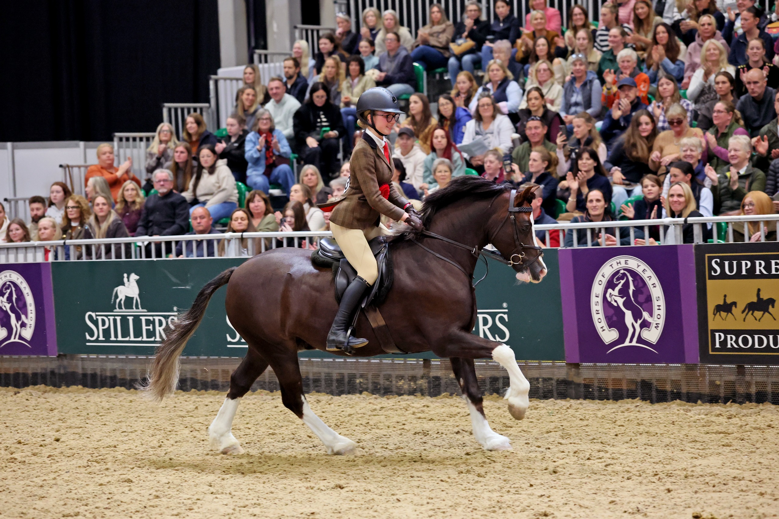 Poppy Gresty and Seiont Watcyn on their lap of honour at HOYS 2026