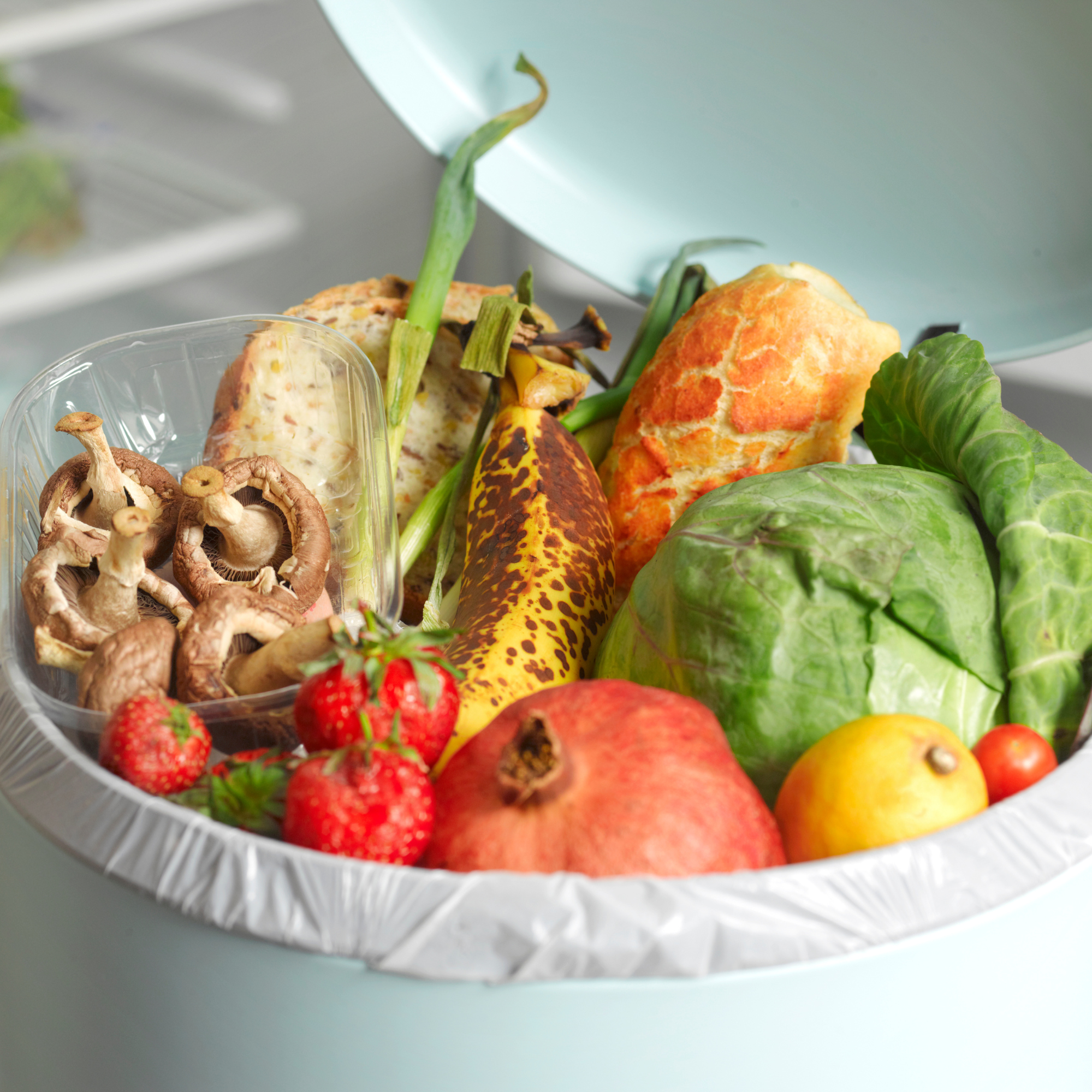 Rotting food in a bin.