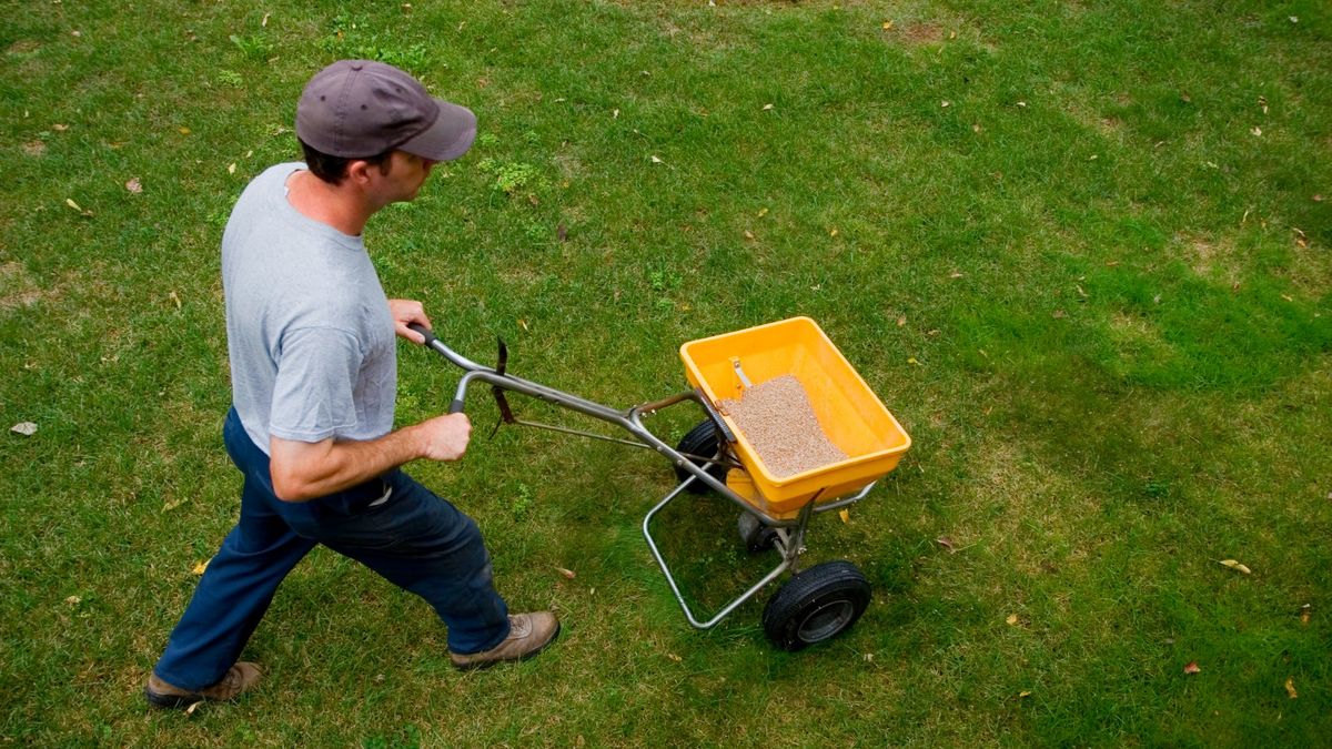 September is the Time to Start Fertilizing Your Cool-Season Lawn – Don’t Make These 4 Fertilizing Mistakes