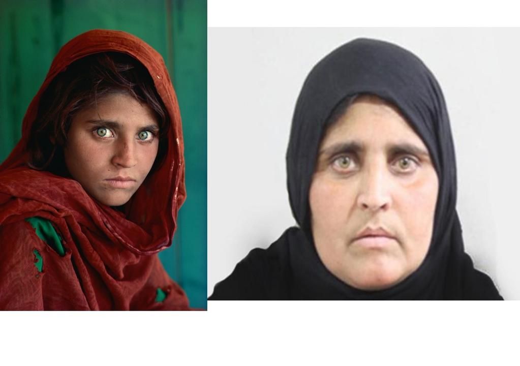 Sharbat Gula.