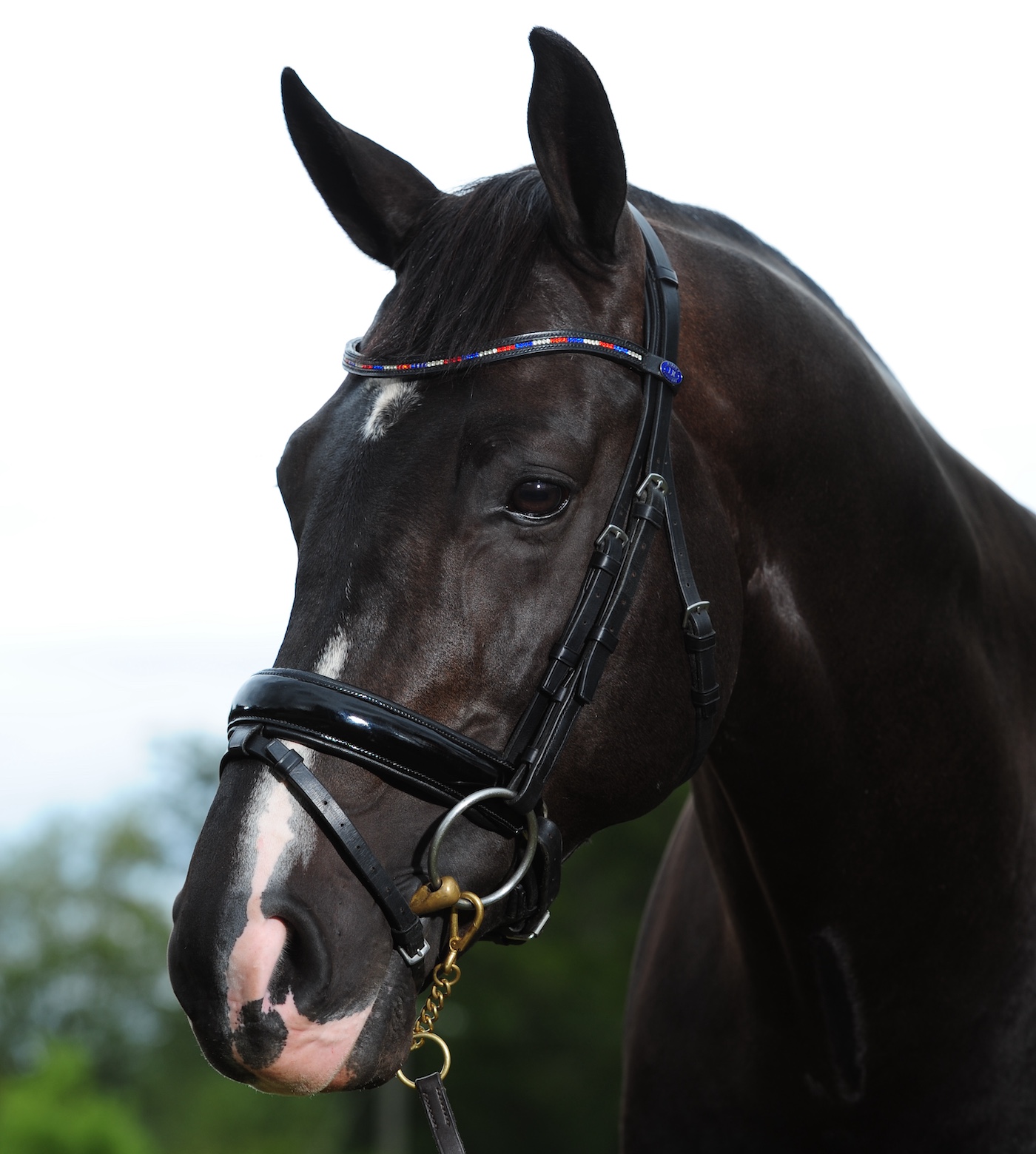 Headshot of Uthopia
