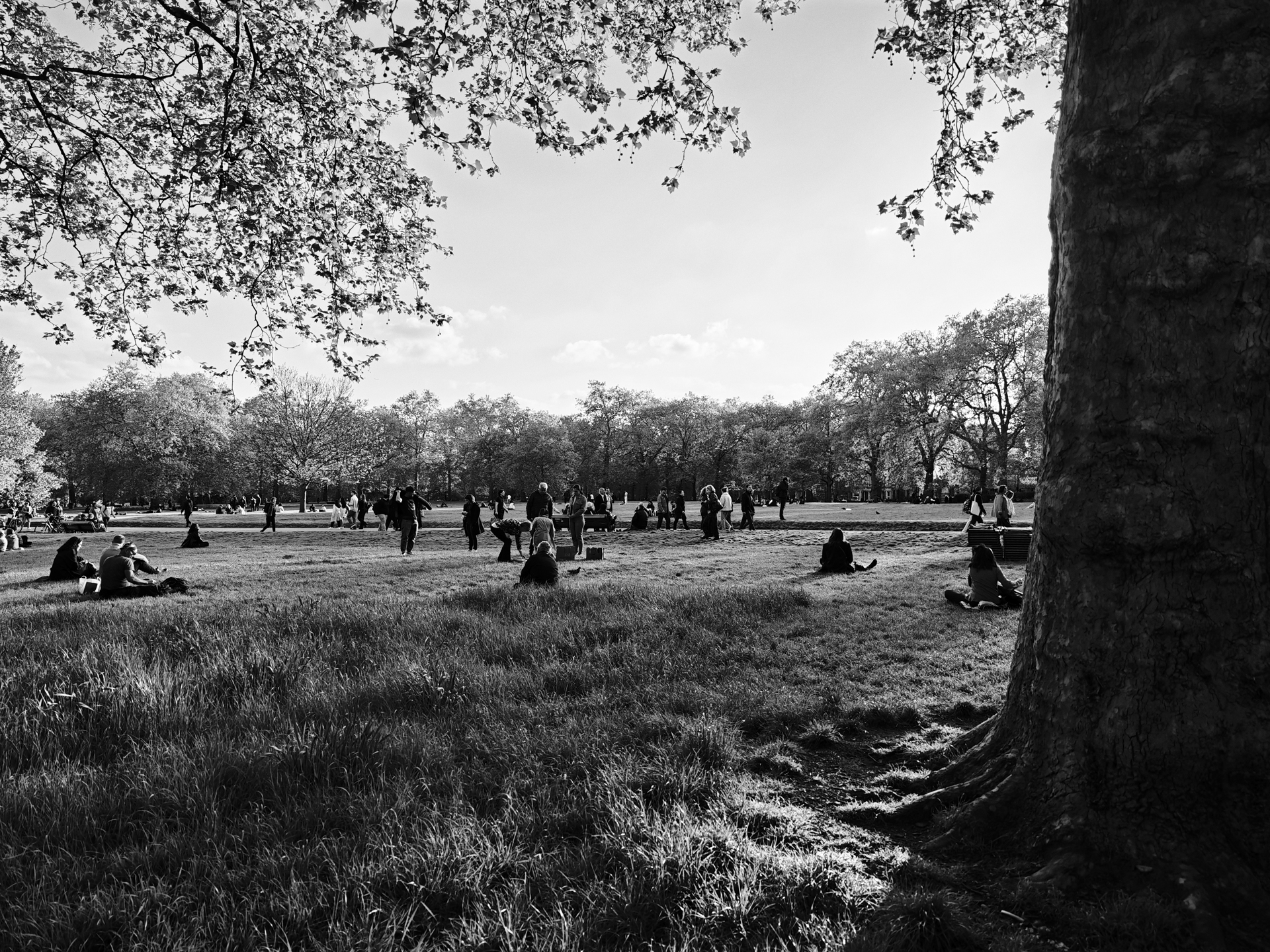 Leica filters on Xiaomi 15