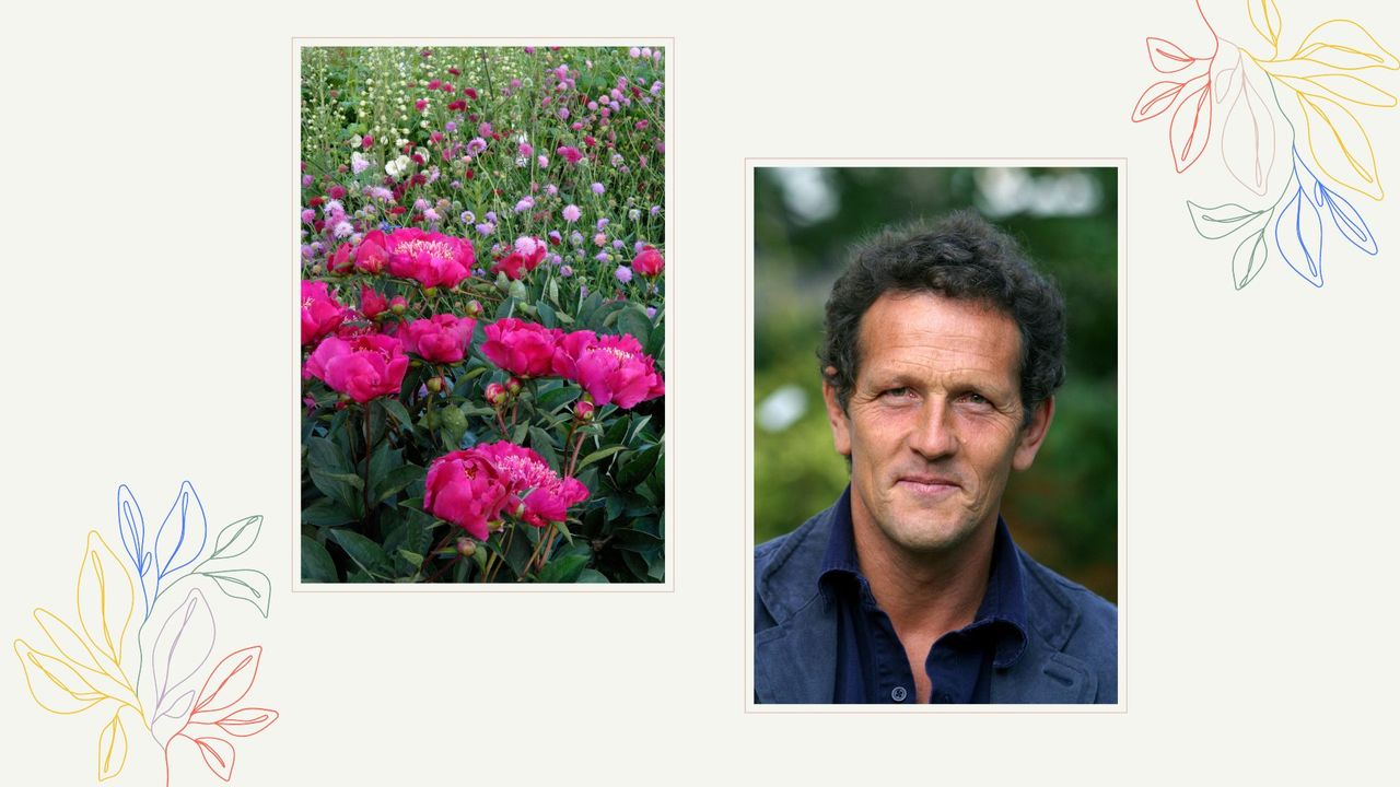  composite image of a peony bush and a portrait image of Monty Don to support an article sharing Monty Don&#039;s advice for dividing herbaceous plan