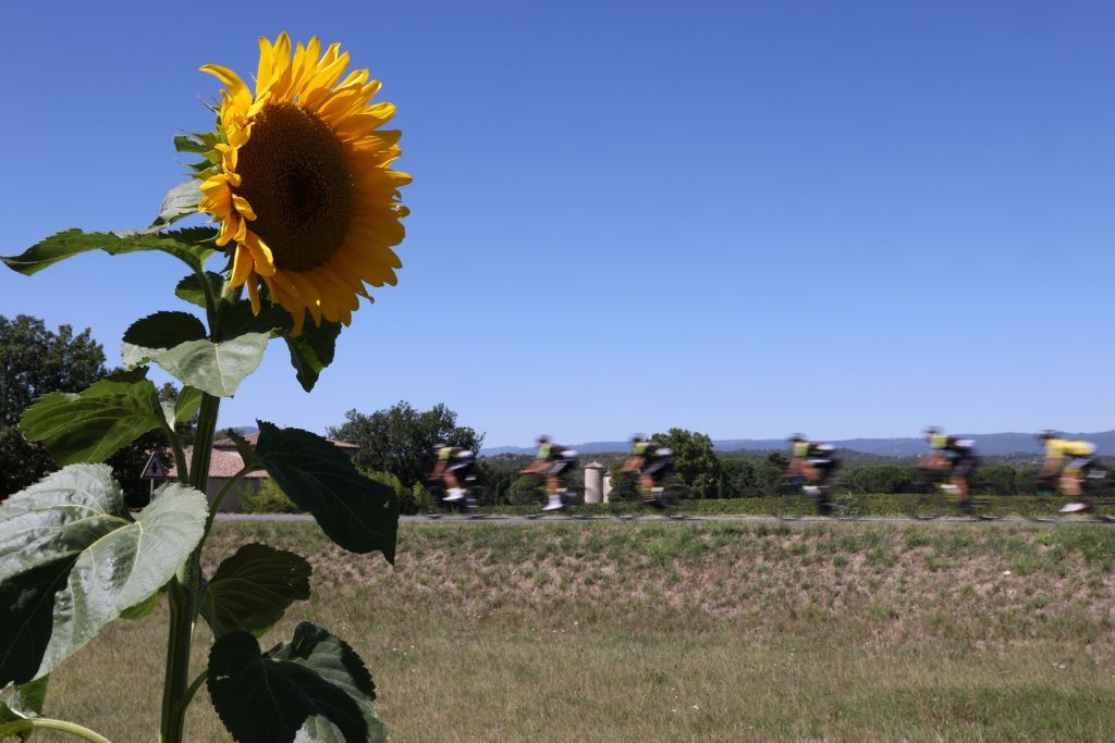 The pack rides during the 6th stage of the 107th edition of the Tour de France cycling race 191 km between Le Teil and Mont Aigoual on September 3 2020 Photo by Kenzo Tribouillard AFP Photo by KENZO TRIBOUILLARDAFP via Getty Images