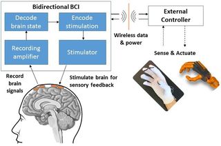 A bidirectional brain-computer interface (BBCI) can both record signals from the brain and send information back to the brain through stimulation.