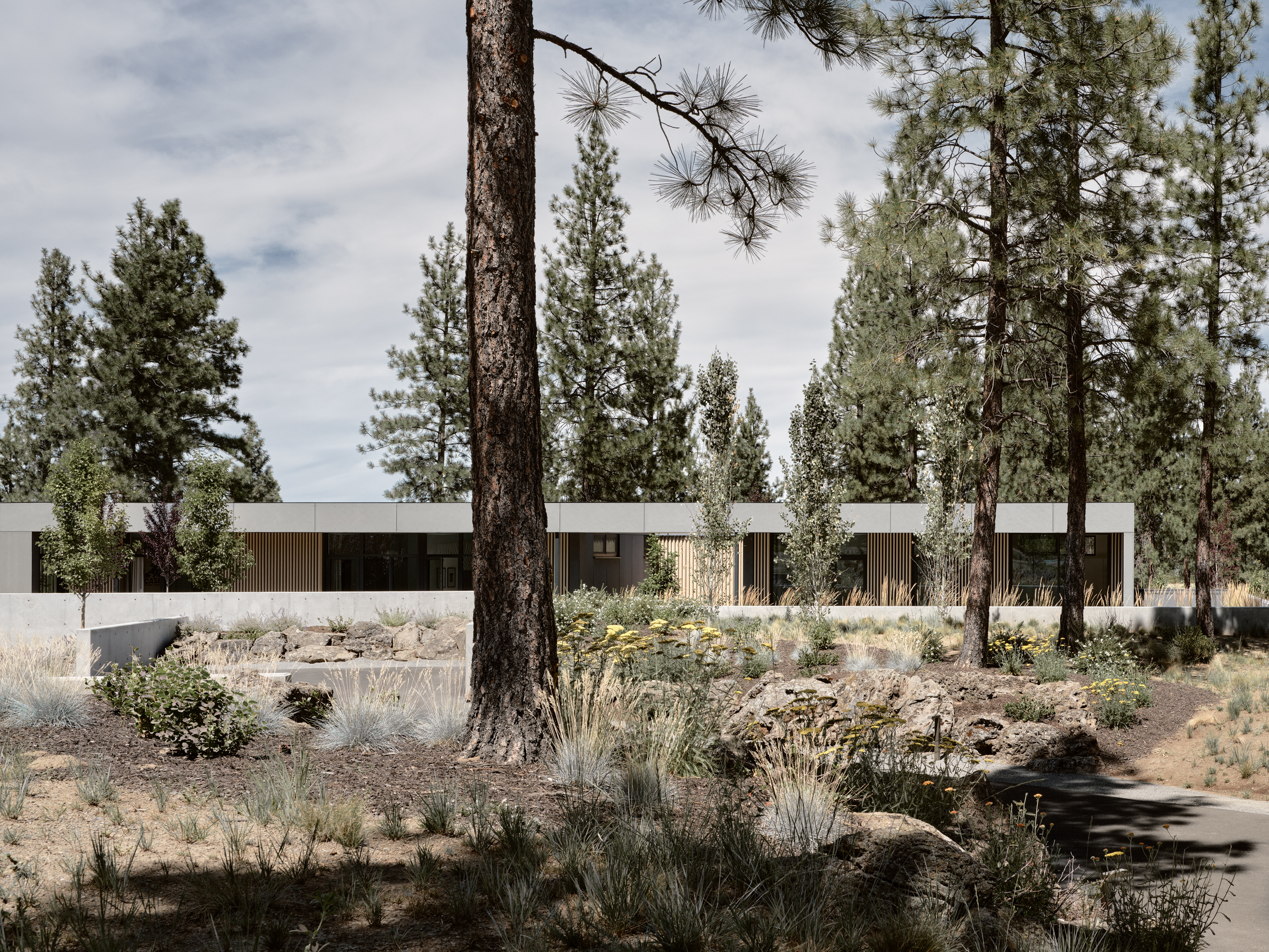Image of an Oregon house, the Bend Hideaway, a linear modern home among trees and open to nature
