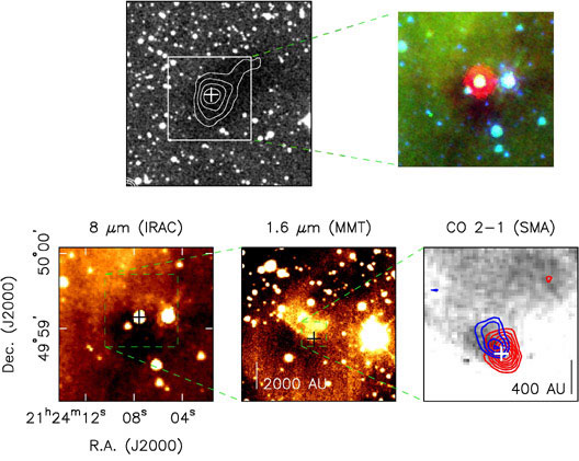 Unborn Star Revealed