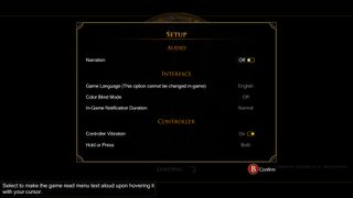 Age of Empires 2 narration options in setup menu