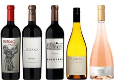 Susana Balbo Wines : Latest releases tasted