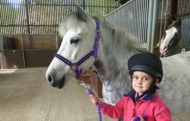 Crumpet-and-Daisy-at-Redwings-June-2015.jpg