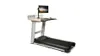 Life Fitness InMovement Treadmill Desk