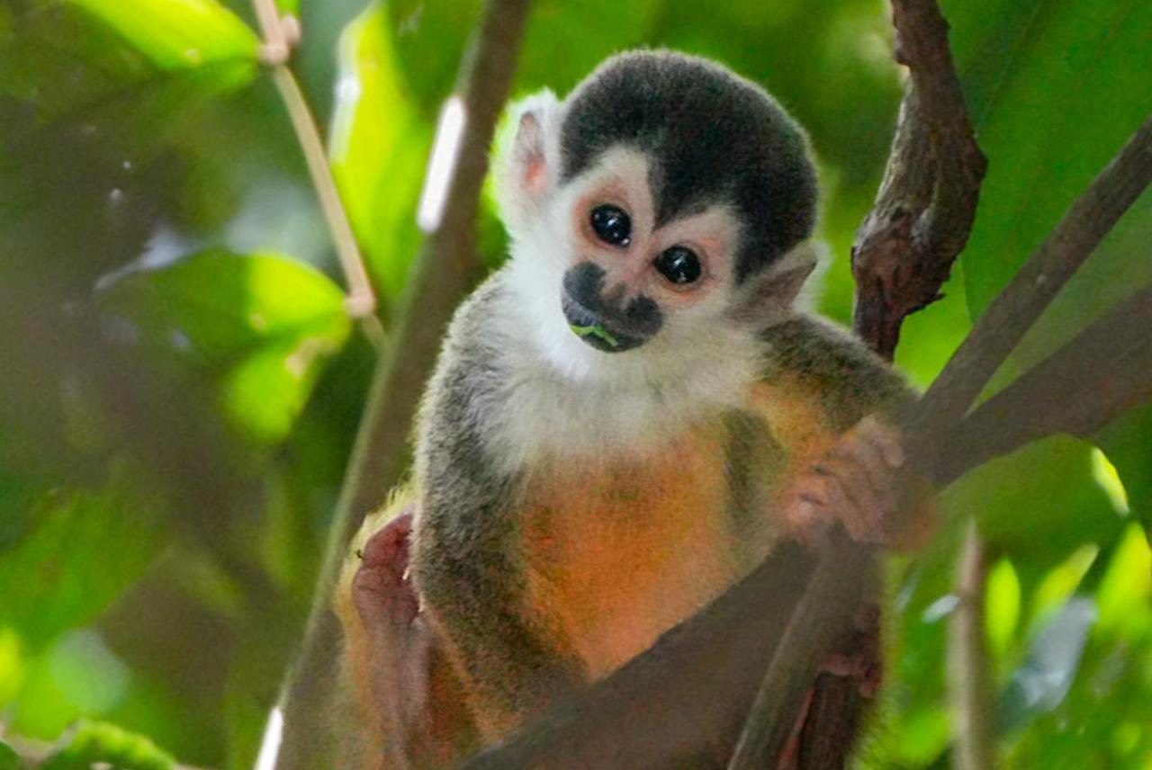 GuruShots - Nature&rsquo;s Masterpiece 2026