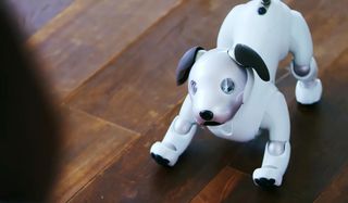 Sony Aibo