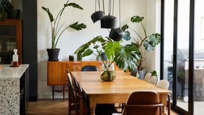 Dining room with plants and black hanging lights
