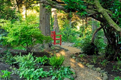 The cleared woodlands at High Moss, Cumbria. ©Val Corbett for Country Life