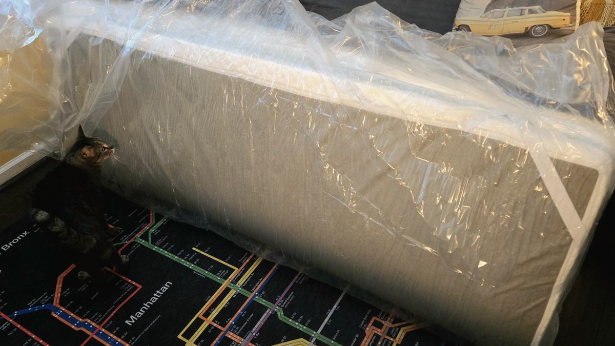 Curious cat looks at theHelix ErgoAlign Mattress Topper folded up and covered in plastic on a rug that looks like the NYC subway