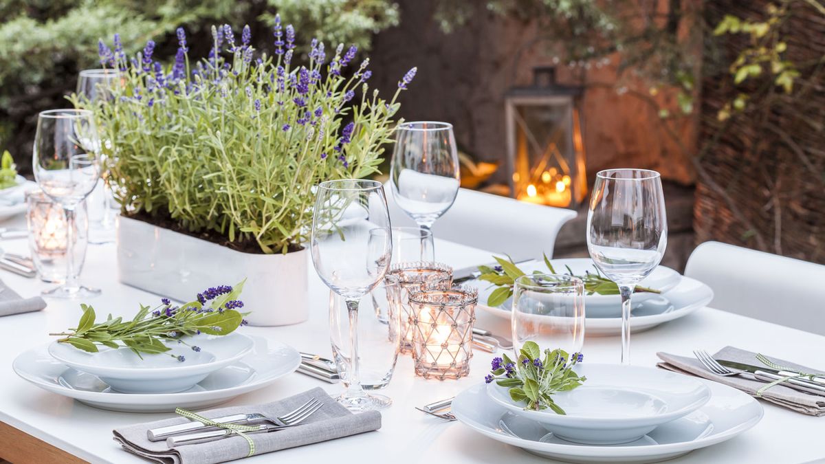 'Instant ambience boosters!' The 6 best plants for an outdoor dining area which all create a relaxing atmosphere