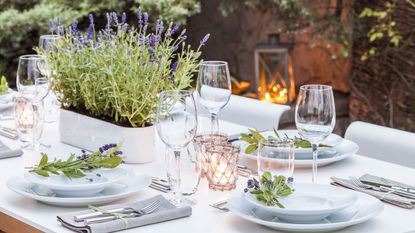 outdoor dining table with plants