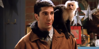 ross marcel friends david schwimmer nbc