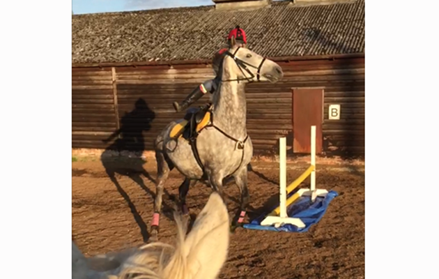 &ldquo;This is my horse Corrie (Think Again). Corrie is very unsure of water trays as you can see. It eventually ended well!&rdquo; &mdash; Caitlin Kiloh