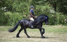 TOWNEND-SCHUBERT-02.jpg