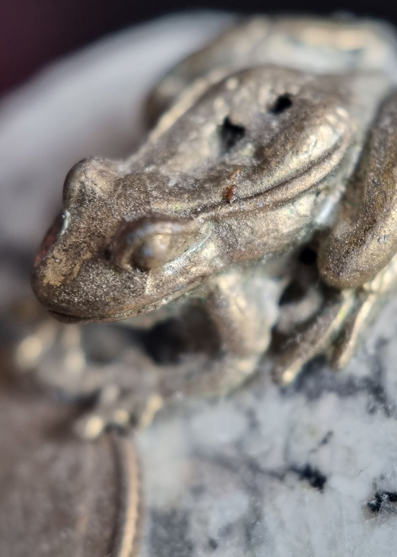 Moment Macro 10x lens review