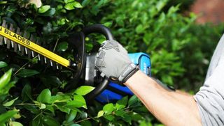 Kobalt KHT 240-06 hedge trimmer review