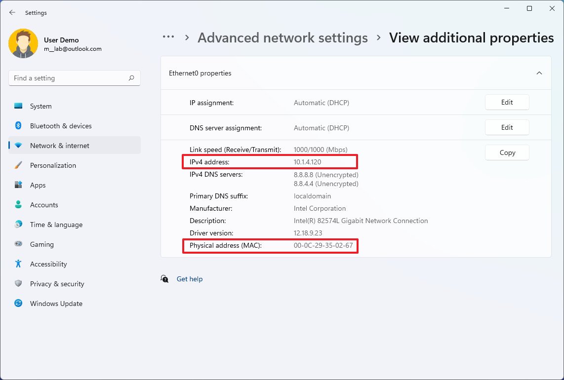 Windows 11 IP and MAC address settings