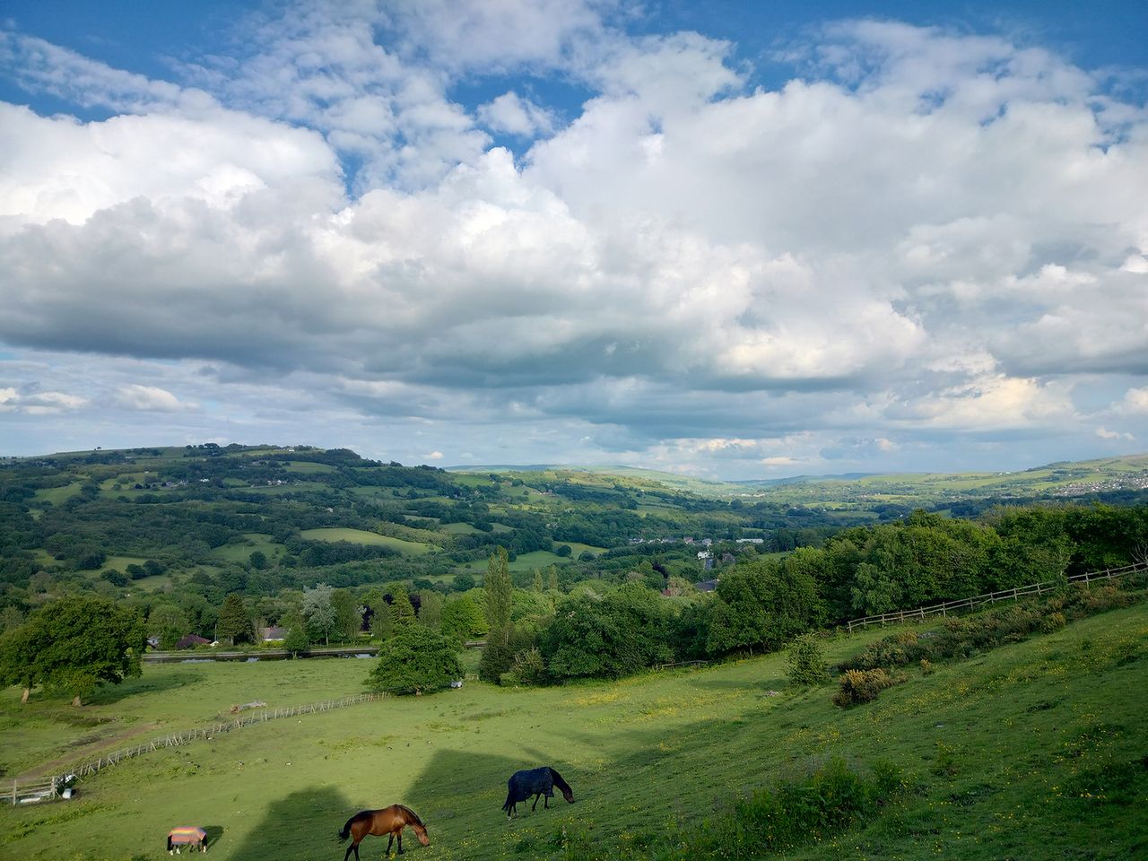 Realme 9 camera sample showing rolling hills