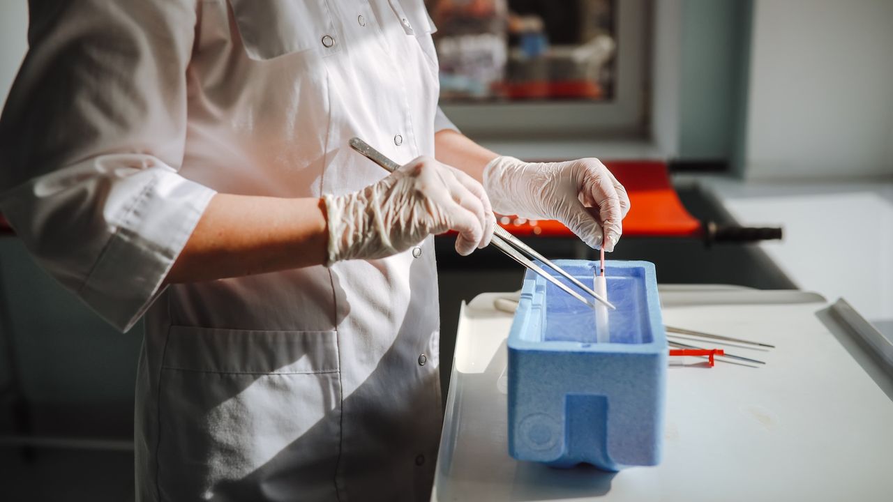 Scientists created human egg cells from skin cells — then used them to make embryos